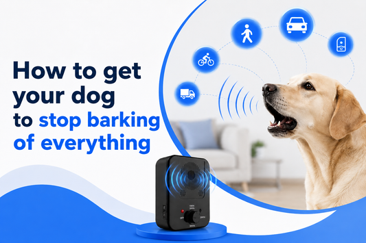 how to get your dog to stop barking at everything