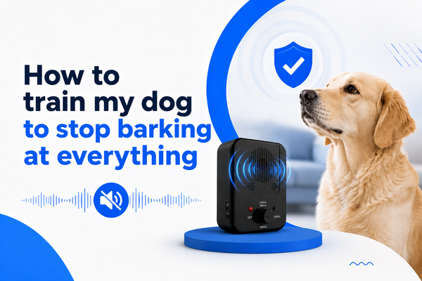 how to train my dog to stop barking at everything