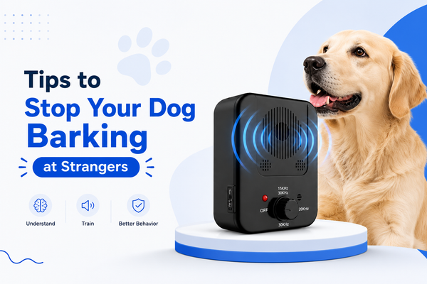 how to get my dog to stop barking at people