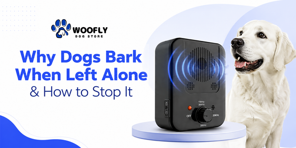 how to stop my dog from barking when i leave