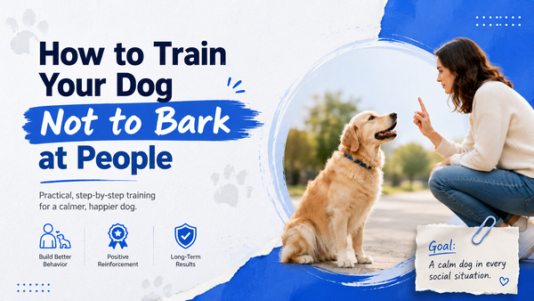 how to train your dog not to bark at people