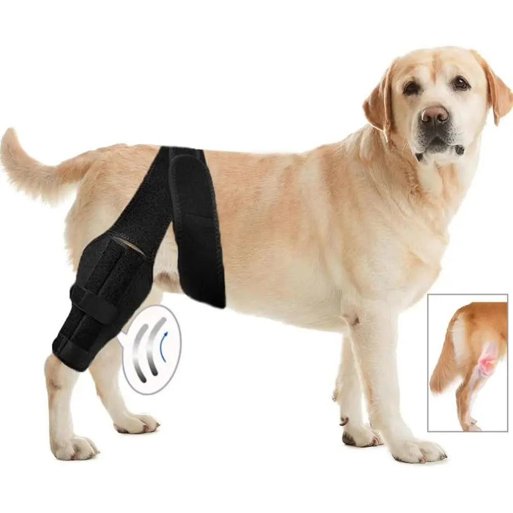 Adjustable Dog Knee Brace Durable Joint Support Leg Support Bracket Reflective Design Breathable Pet Knee Wound Protection
