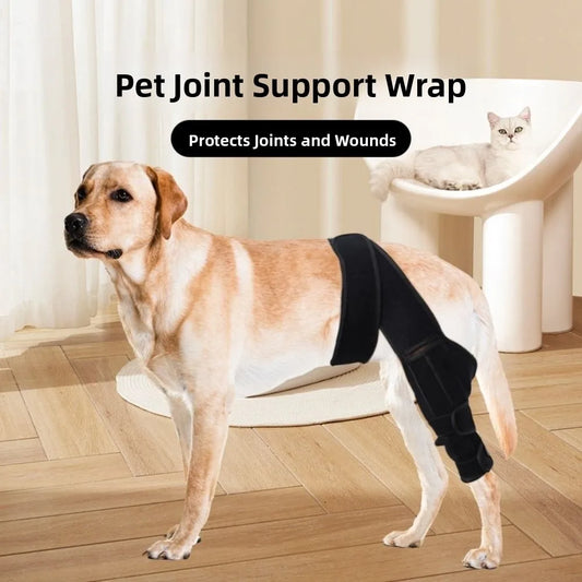 Adjustable Dog Knee Brace Durable Joint Support Leg Support Bracket Reflective Design Breathable Pet Knee Wound Protection