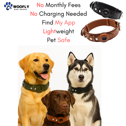 Leather AirTag Collar     ♦️     Apple AirTag is not include