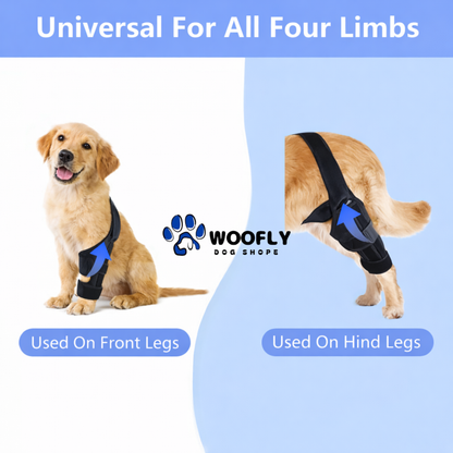 Dog Knee Brace – Adjustable Support for ACL, CCL & Joint Injuries