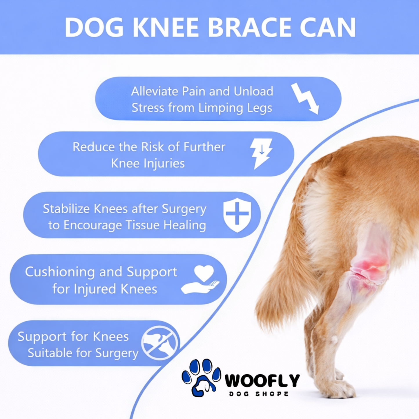Dog Knee Brace – Adjustable Support for ACL, CCL & Joint Injuries