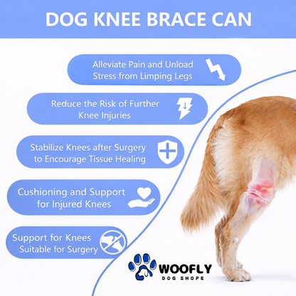 Dog Knee Brace – Adjustable Support for ACL, CCL & Joint Injuries