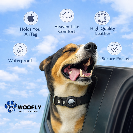 Leather AirTag Collar     ♦️     Apple AirTag is not include