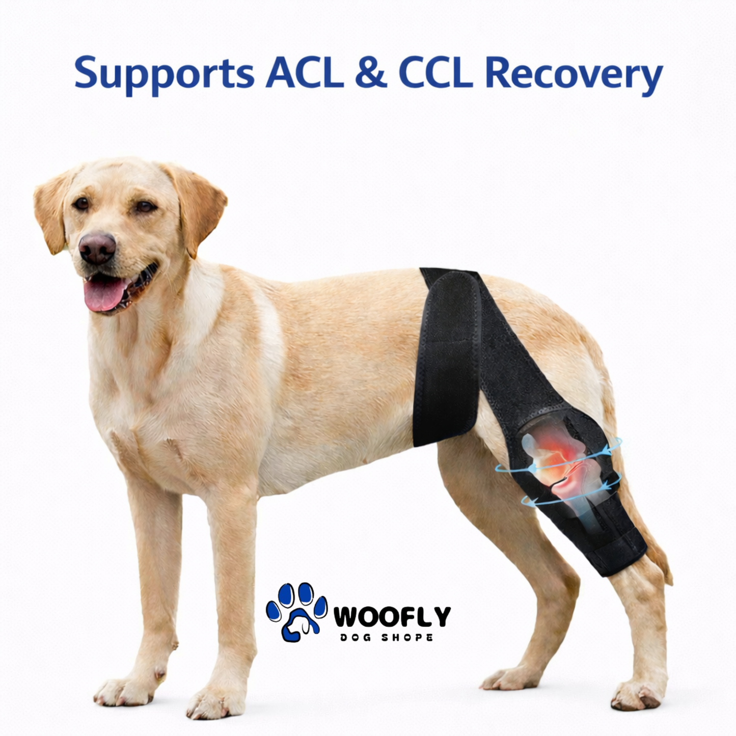 Dog Knee Brace – Adjustable Support for ACL, CCL & Joint Injuries