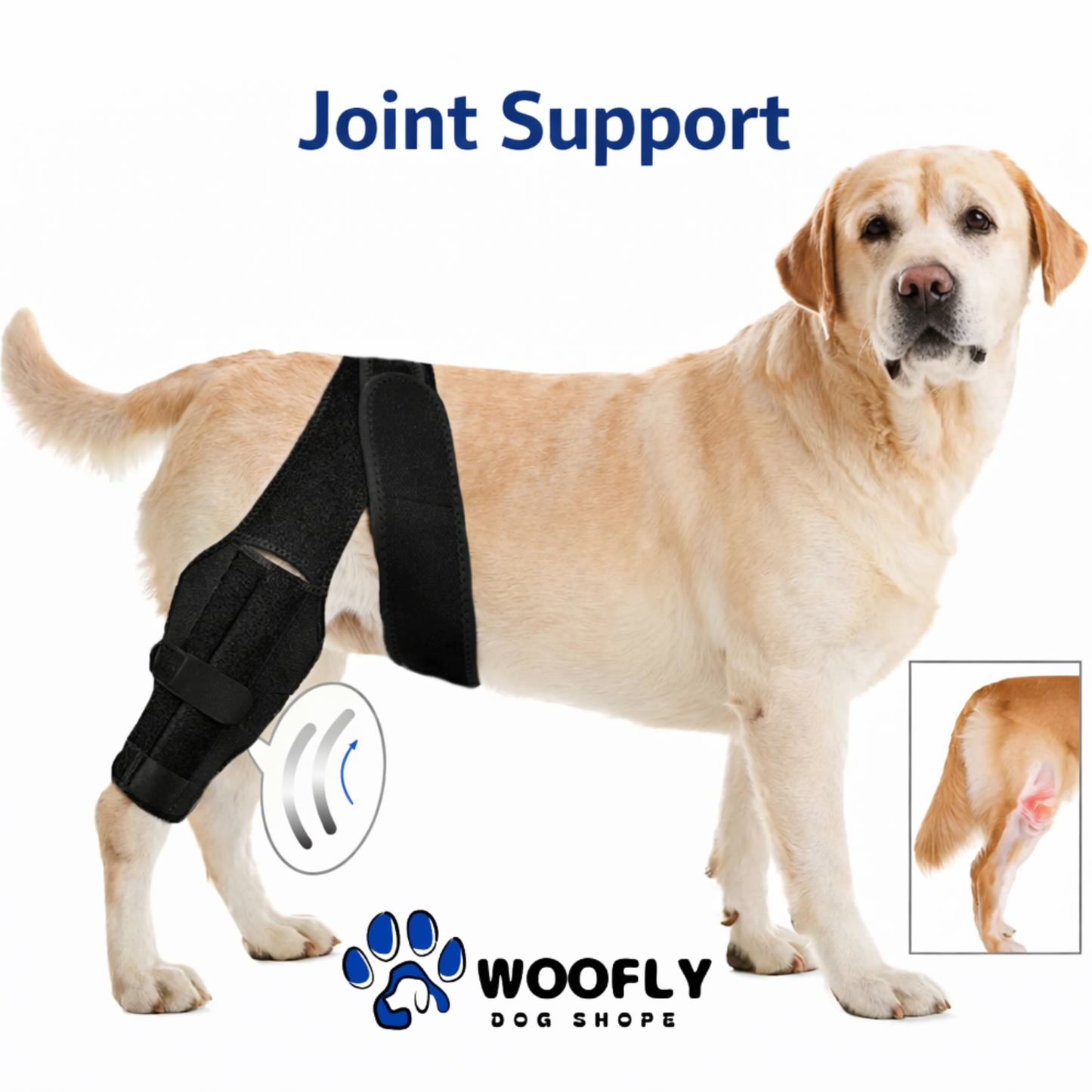 Dog Knee Brace – Adjustable Support for ACL, CCL & Joint Injuries