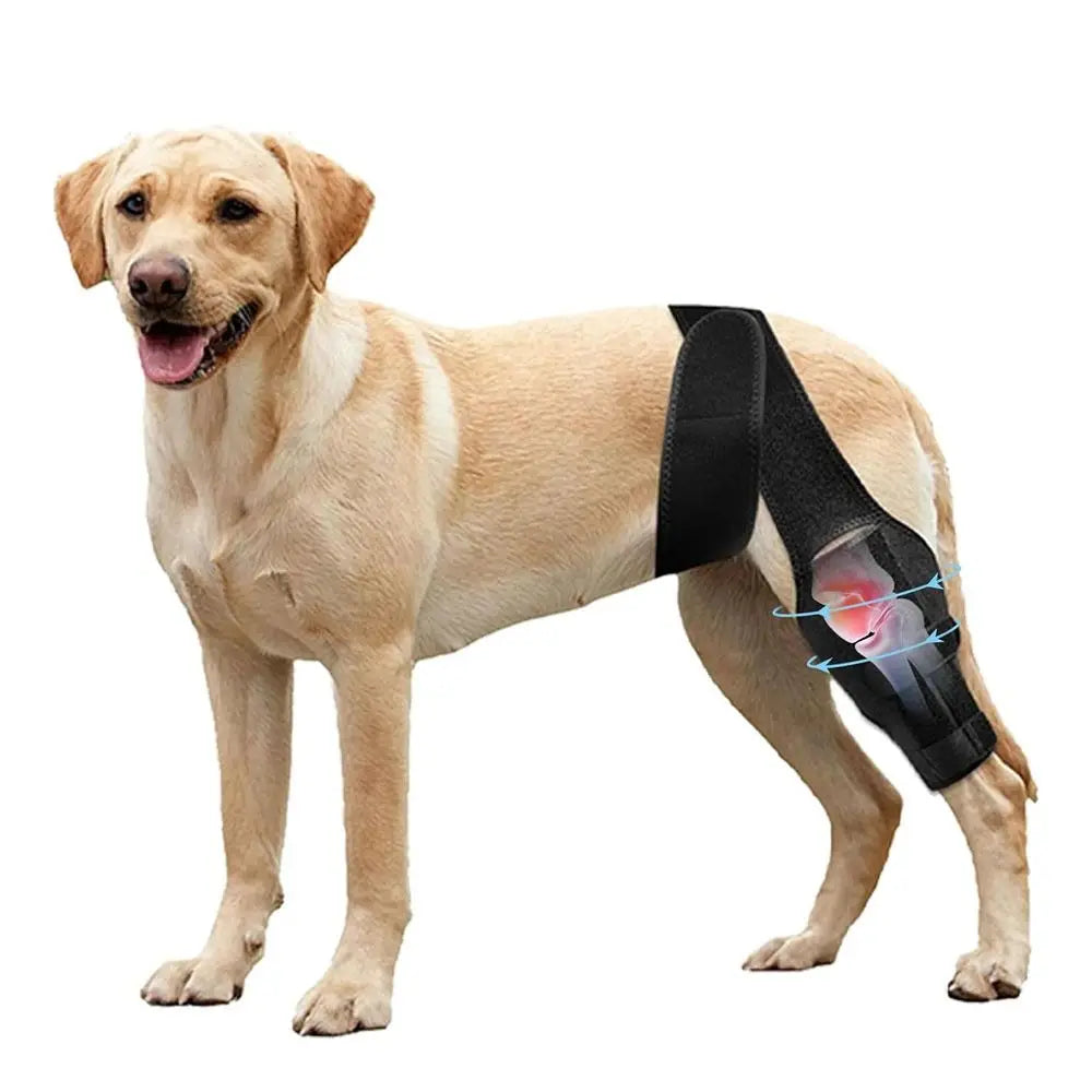 Adjustable Dog Knee Brace Durable Joint Support Leg Support Bracket Reflective Design Breathable Pet Knee Wound Protection
