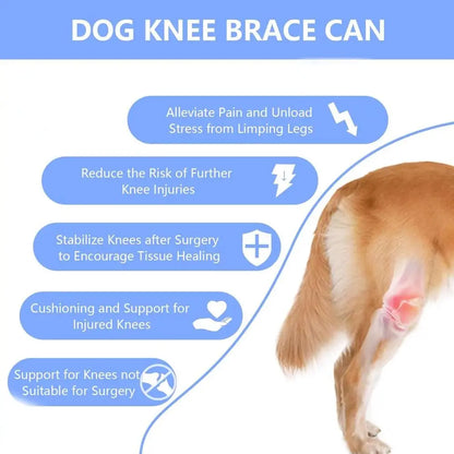 Adjustable Dog Knee Brace Durable Joint Support Leg Support Bracket Reflective Design Breathable Pet Knee Wound Protection