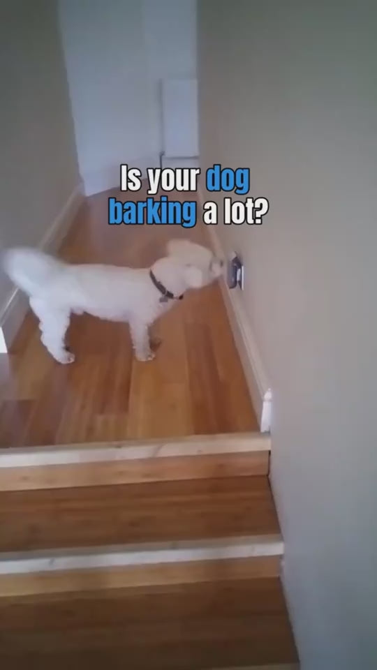 Load video: 1
