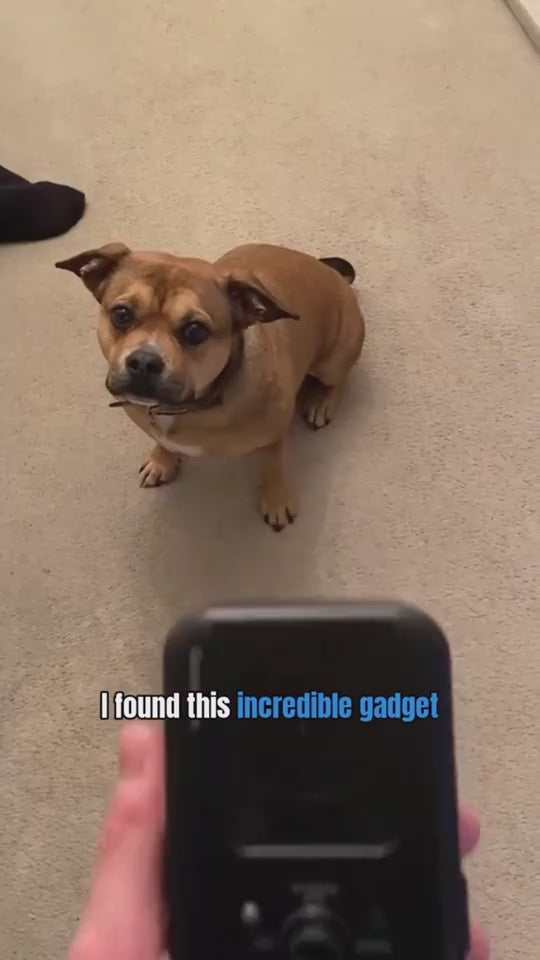 Load video: 1